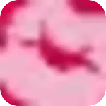 SakuraLive　アイコン